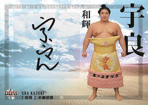 Sumo Trading Cards - 2017 "Tamashii" series